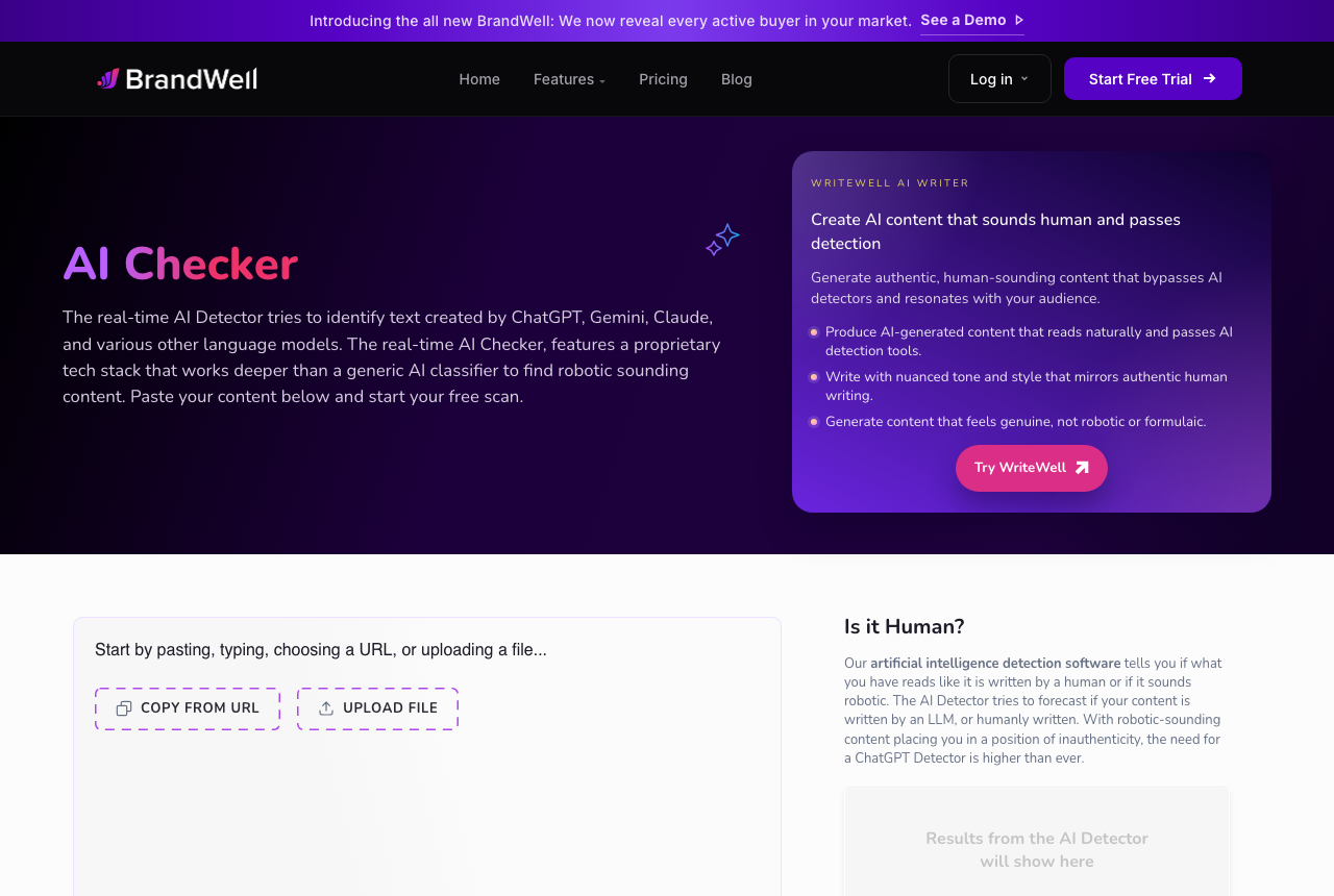 Content at Scale AI Detector