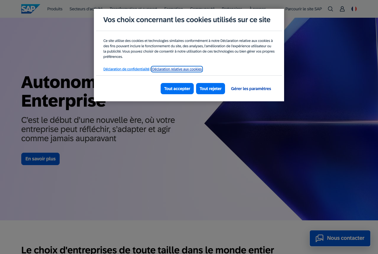 SAP (Business One / S/4HANA)